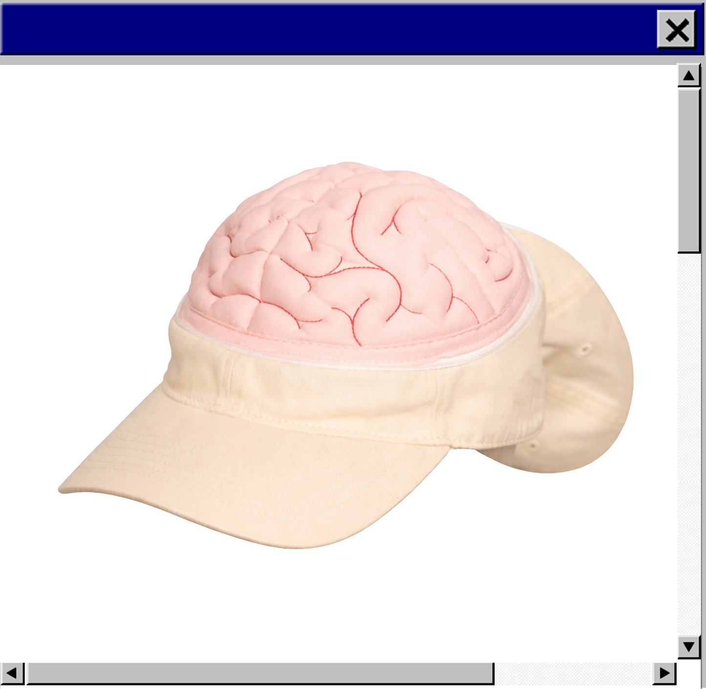 Zip-Brain Cap