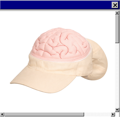 Zip-Brain Cap